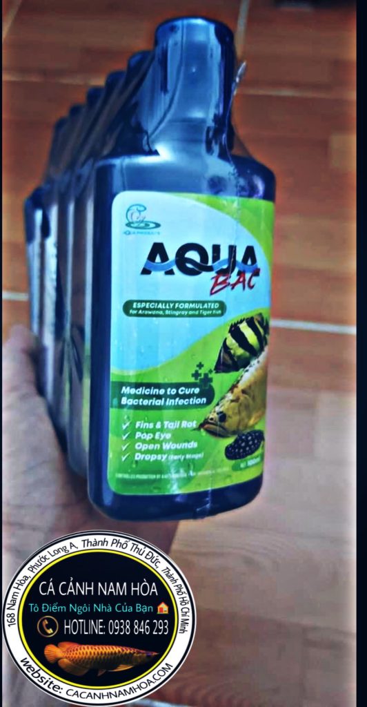 Thuốc chứa bệnh cho cá rồng-sam-cá hổ Aqua bạc