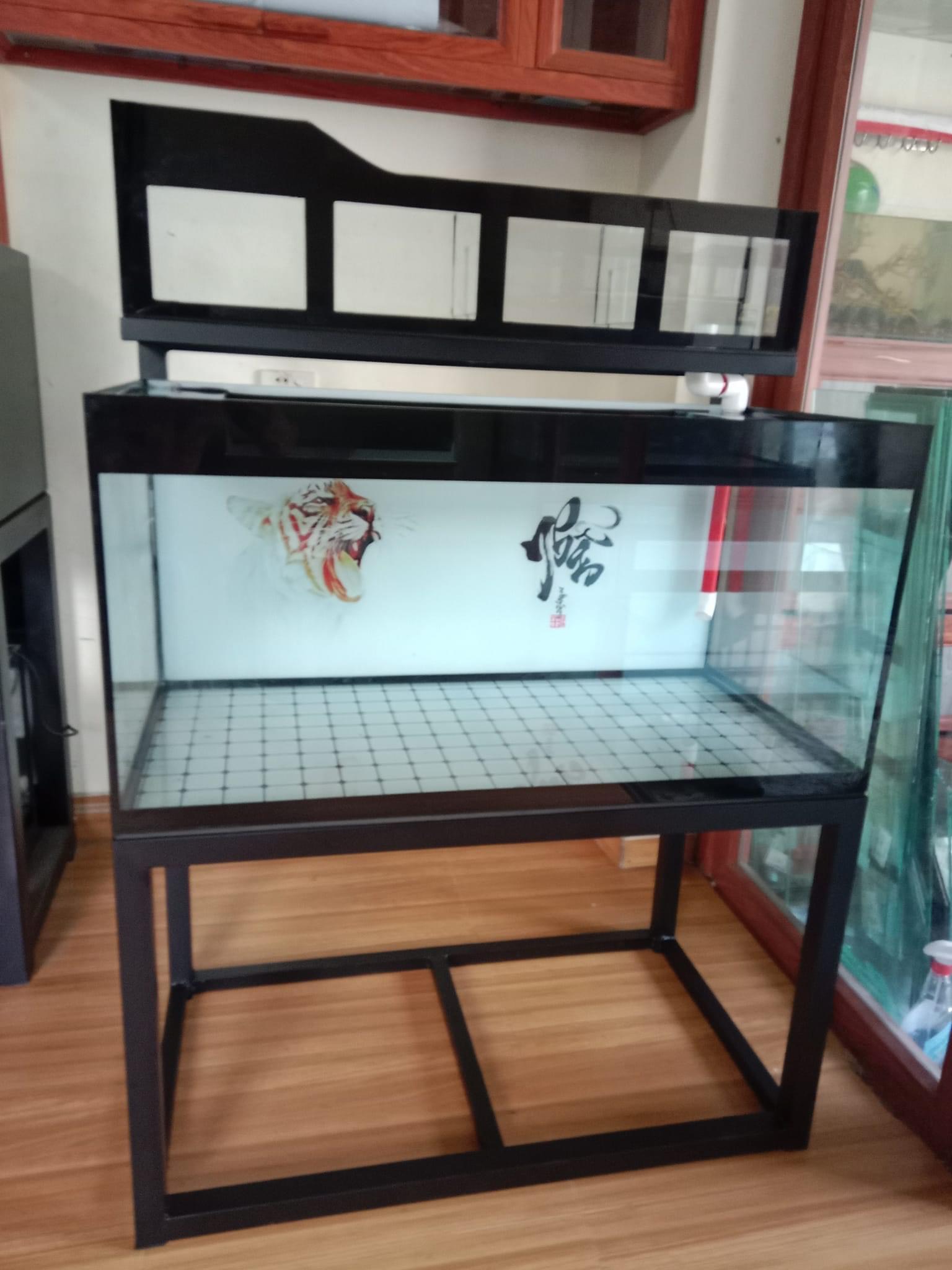 hồ cá 01